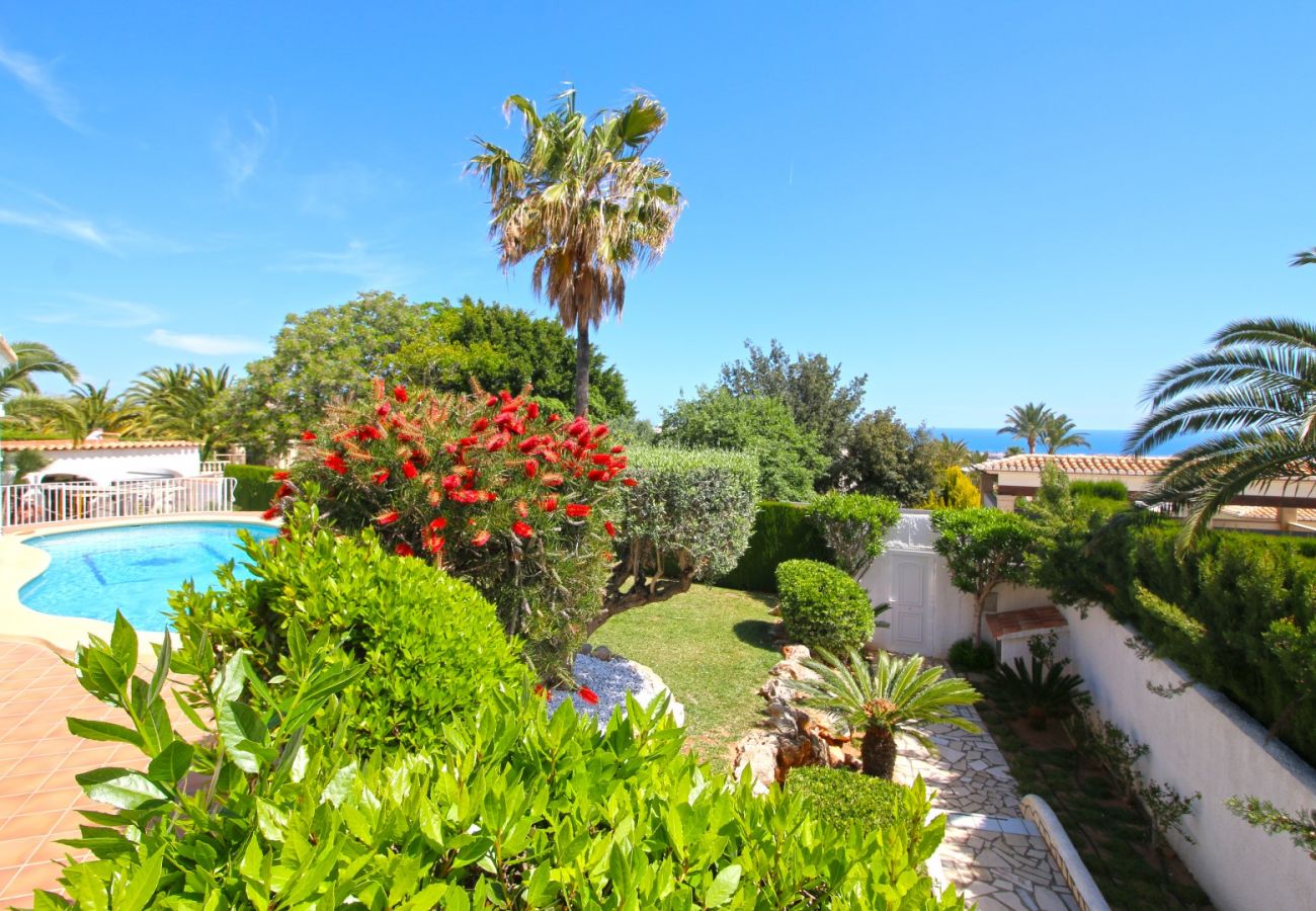 Villa en Denia - Lujosa Villa con aire acondicionado y piscina Marquesa GU 4 Personas