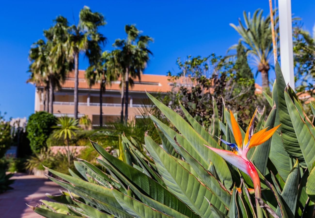 Apartamento en Javea / Xàbia - Golden Gardens Bliss Apartment Javea Arenal con Terraza, AACC y Piscina comunitaria