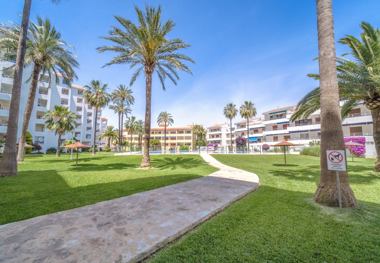 Ferienwohnung in Javea - Don Pepe Lux Apartment Javea, mit Terrasse, Klimaanlage und großem Gemeinschaftspool