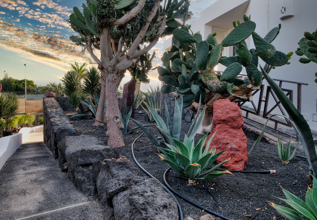 House in Playa Blanca - Casa Efesto - 3-bedroom holiday home with pool, terrace and views of Fuerteventura