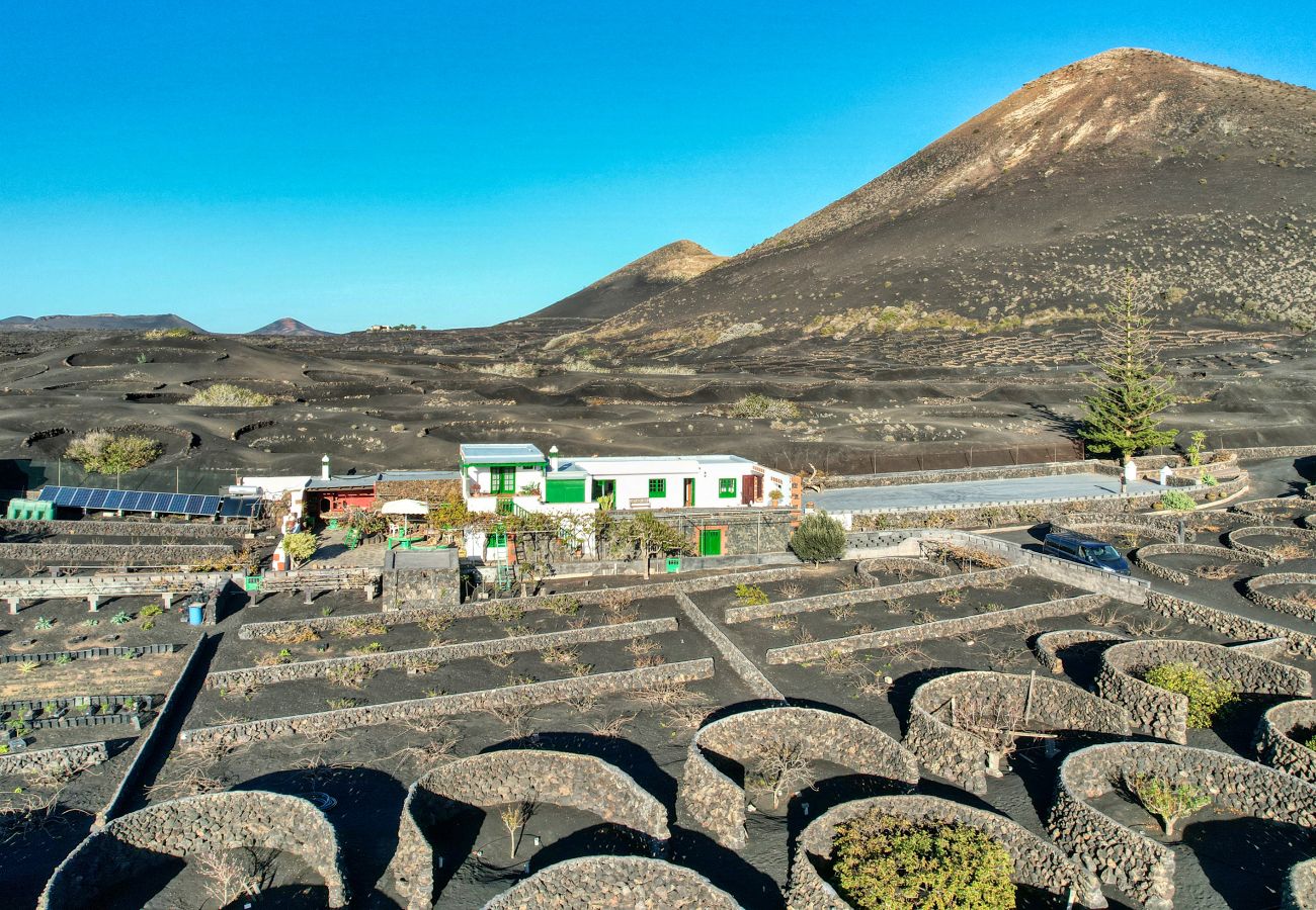 House in Yaiza - Casa Diama 1: view of La Geria and shared swimming pool 